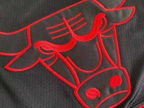 Regata Chicago Bulls Jordan Bordada