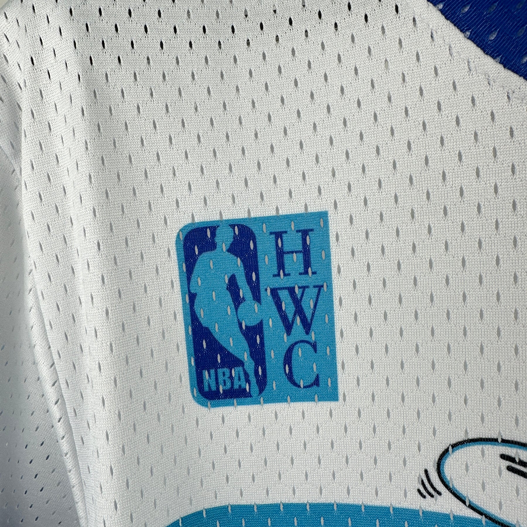Camisa Charlotte Hornets Mitchell&Ness