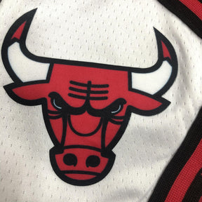 Short NBA Chicago Bulls Icon Edition