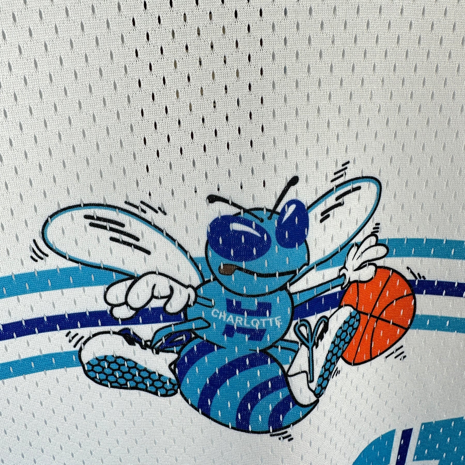 Camisa Charlotte Hornets Mitchell&Ness